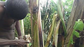 Nigerian  plantain seller