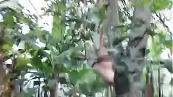 Png xxvideos 2024