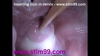 Vagina from inside