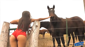 Girl fuck horse