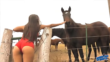 Xxx libolo vidéo